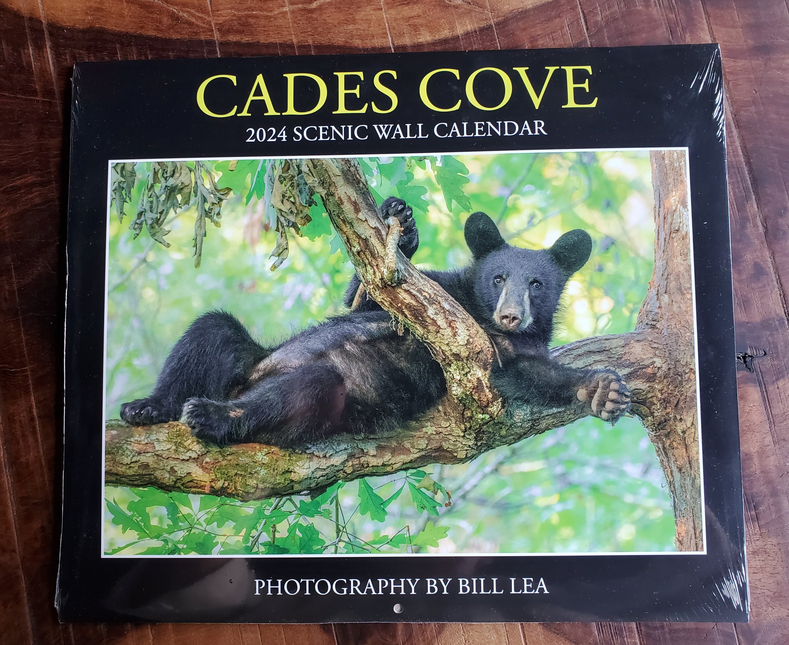 Cades Cove Scenic Wall Calendar Bill Lea Ely's Mill